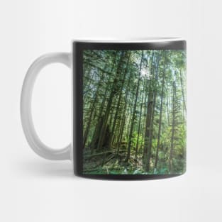 Hoh Rainforest #3 Mug